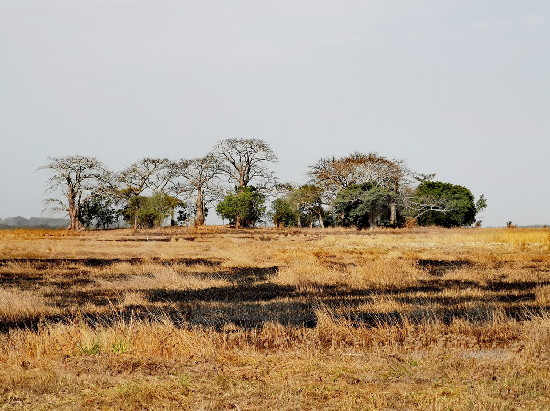 Yerim Tours Senegal景点图片