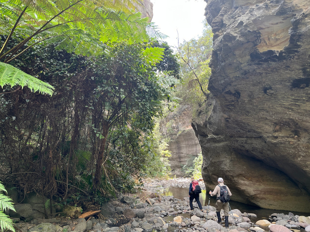 Australian Nature Guides-Carnarvon National Park必去景点