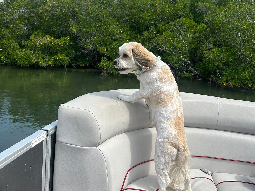 Backcountry Boat Rentals-Sugarloaf Key必去景点