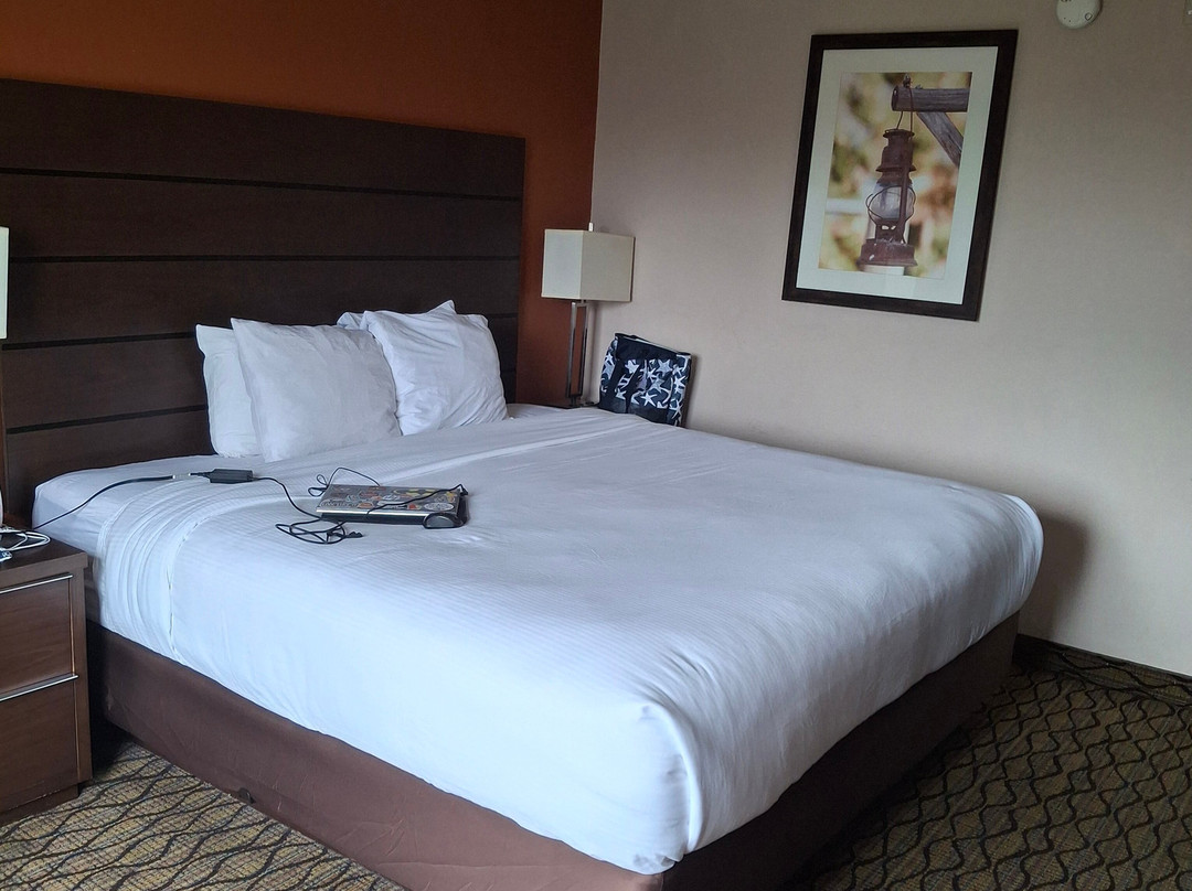 Baymont by Wyndham Madison Heights Detroit Area主图