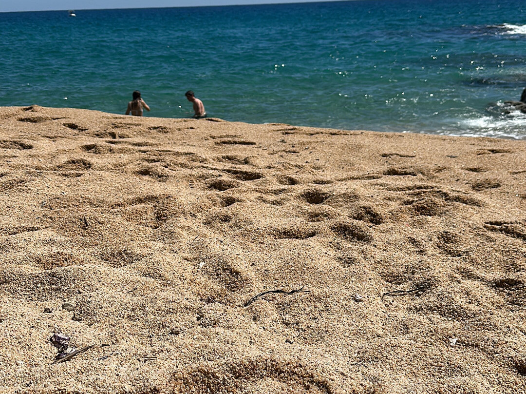 Playa Cala Sa Boadella-犹兰特德玛必去景点