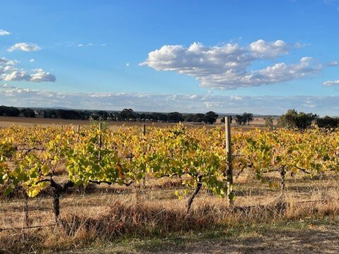 Mount Ophir Estate主图