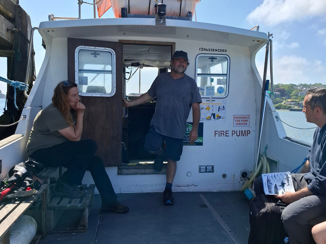 West Cork Ocean Tours-Union Hall必去景点