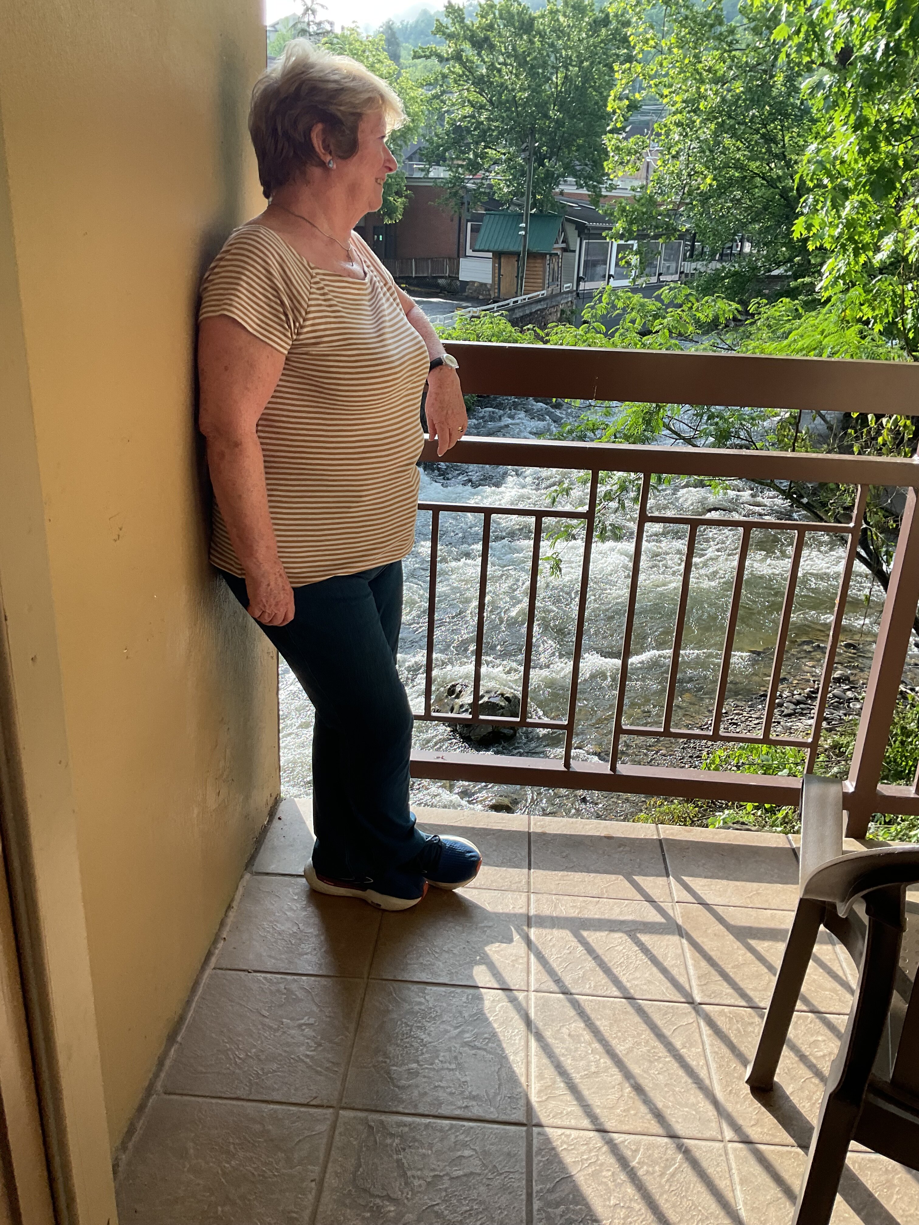 Greystone Lodge On the River-酒店景观