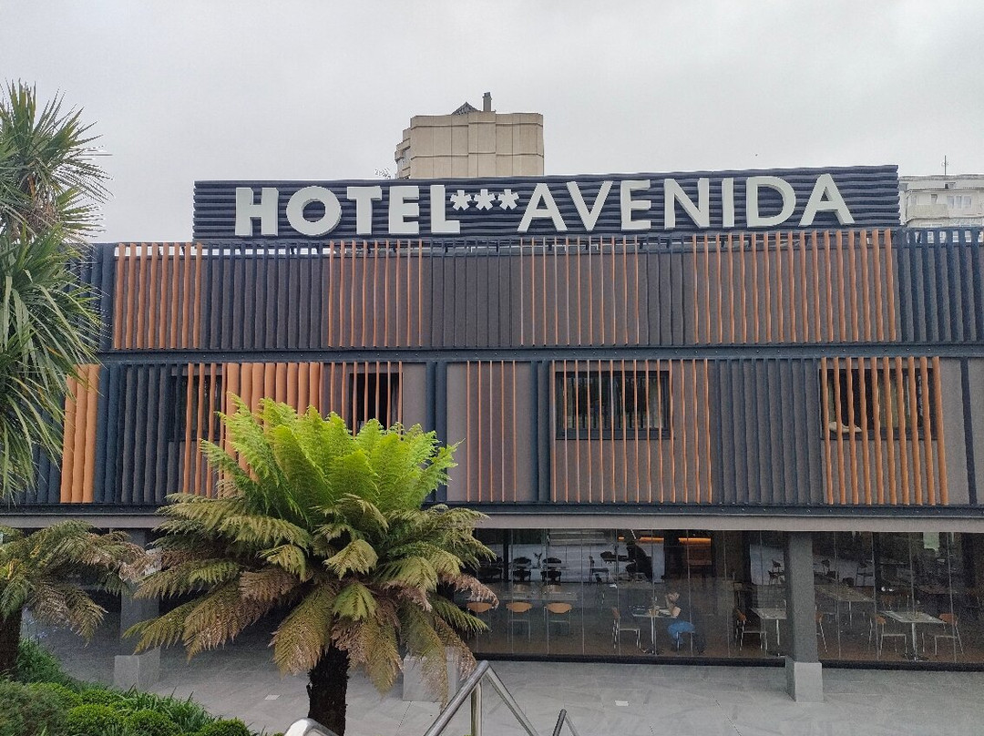 Avenida Hotel主图