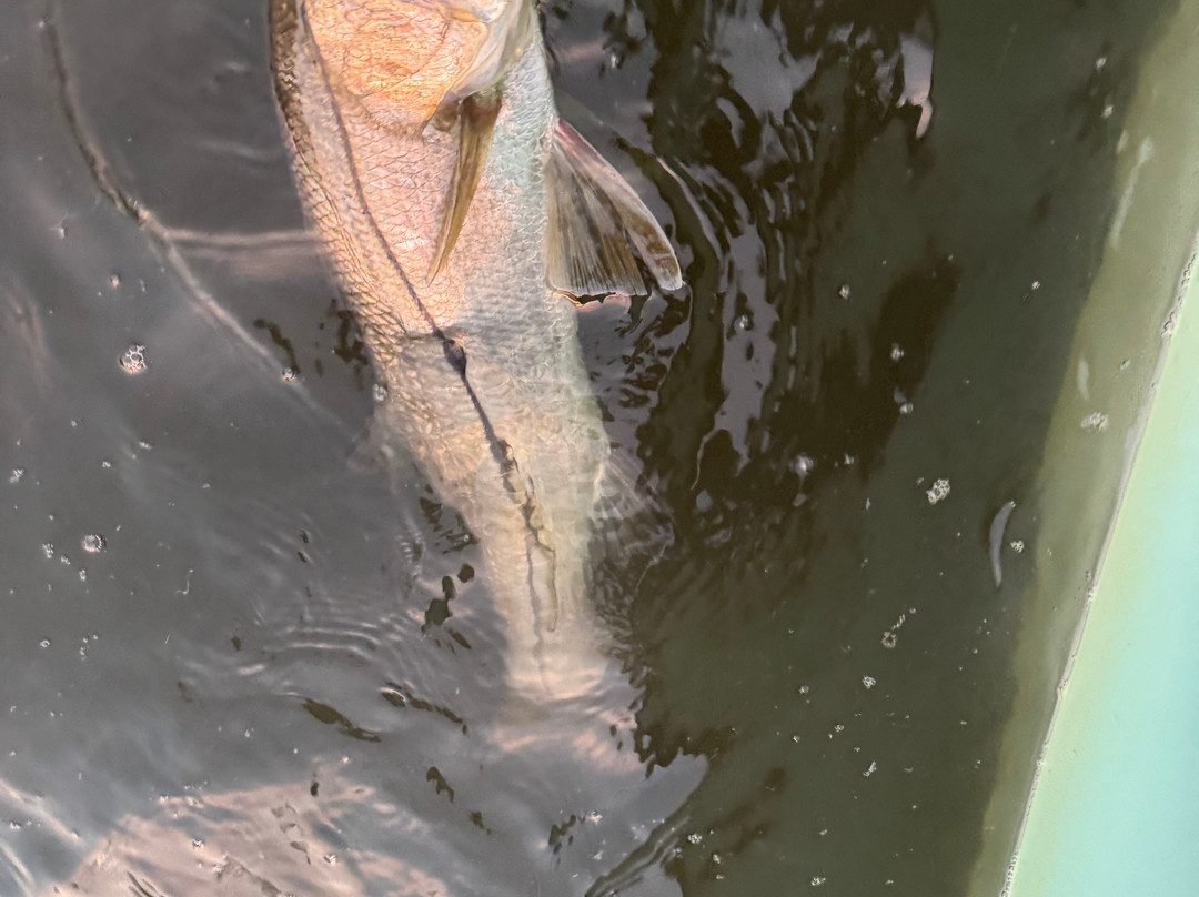 Chaos Fishing Adventures-Jensen Beach必去景点