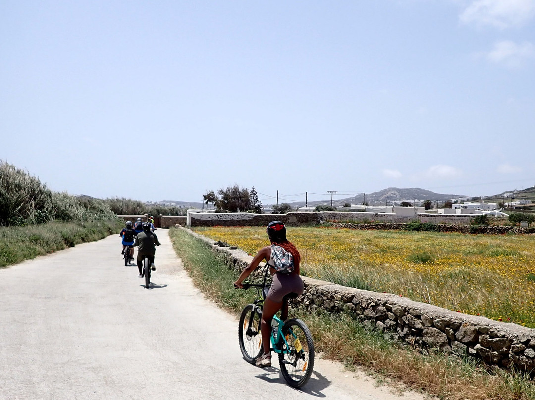 Yummy Pedals - Cycling & Hiking Tours景点图片
