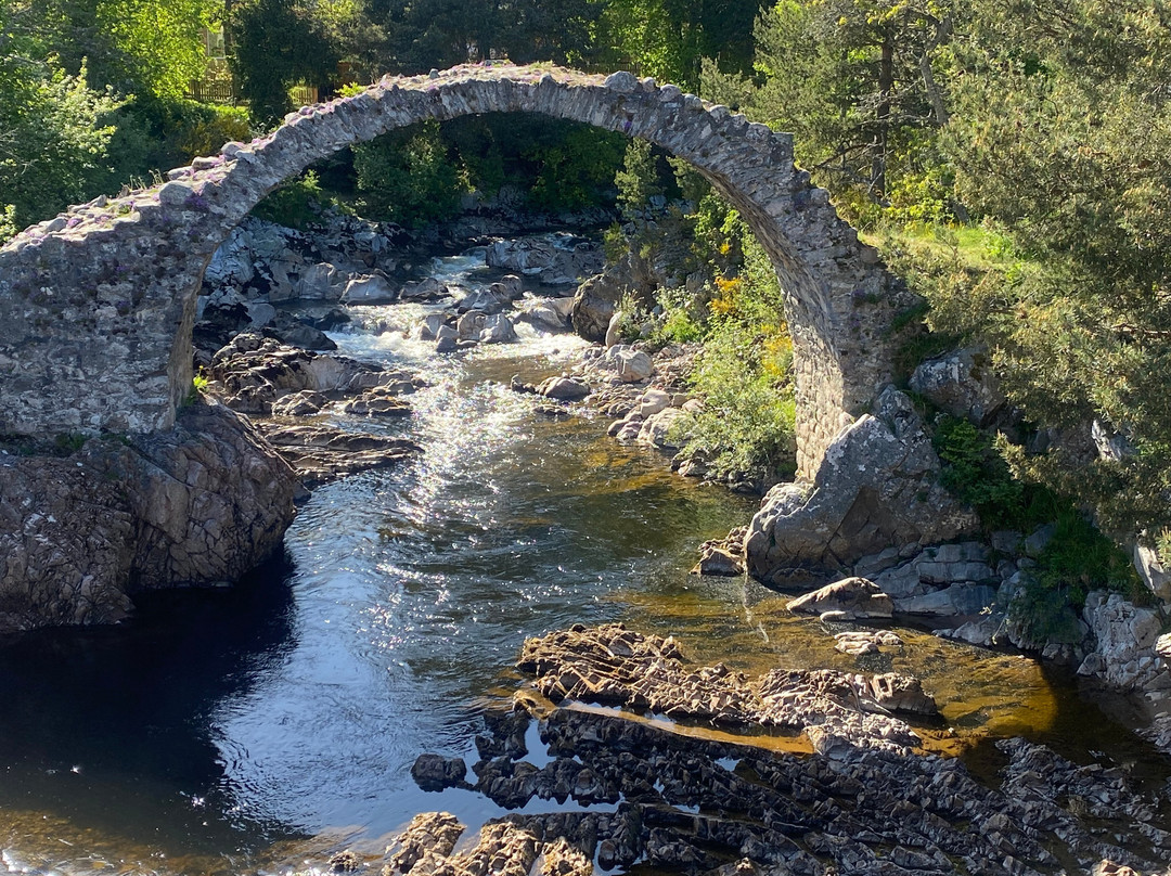 Carrbridge Hotel主图
