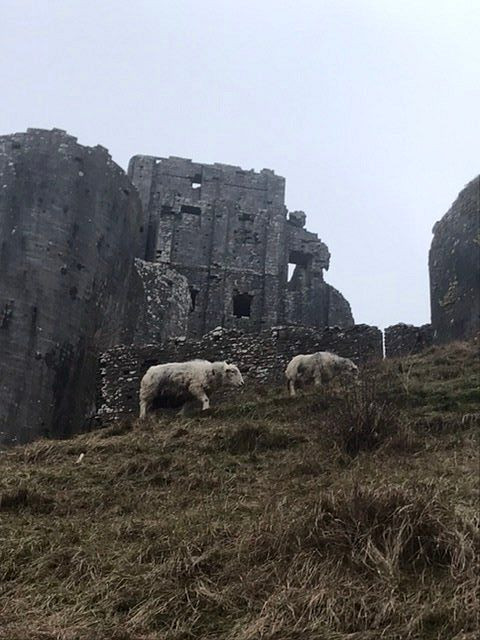 Gold Court House主图