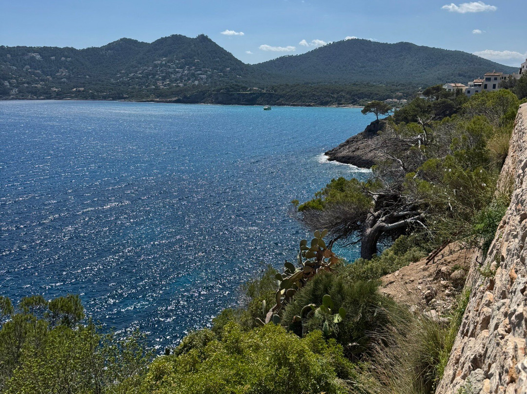 Bugs Buggy Mallorca Adventure-Cala Ratjada必去景点