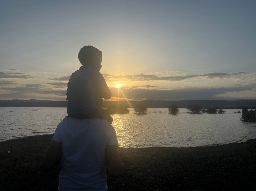 Manyara Exclusive Safari & Lodge