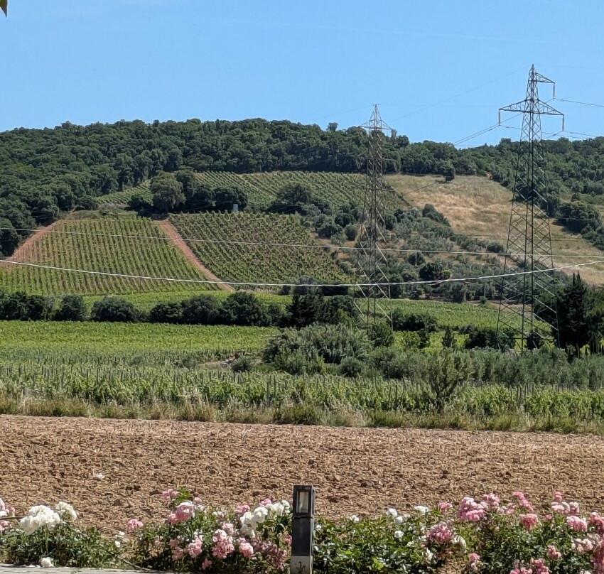 Azienda Agricola Terradonnà景点图片