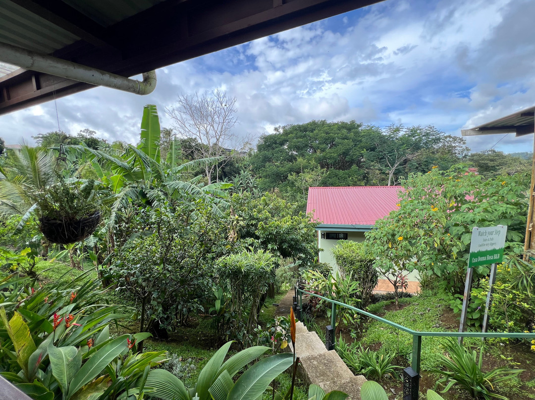 Casa Donna Rosa Bed And Breakfast主图