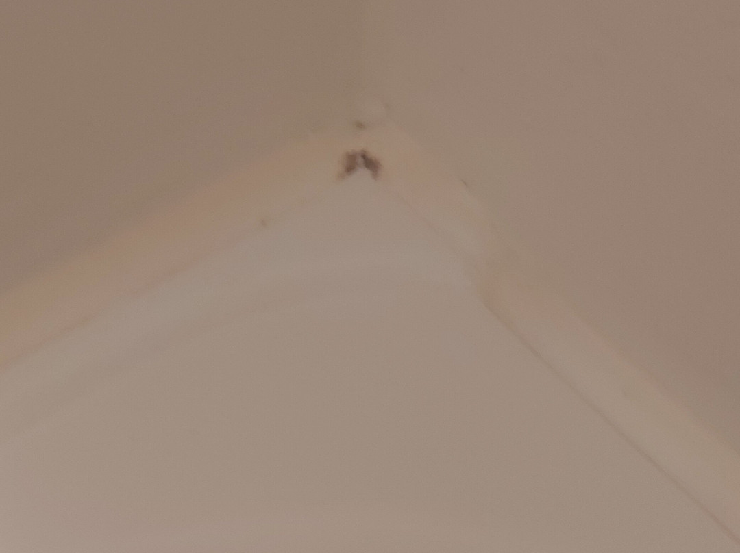 祖姆本奈迪克汀弗拉尔酒店主图