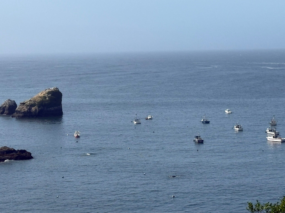 Trinidad Bay Bed and Breakfast Hotel主图