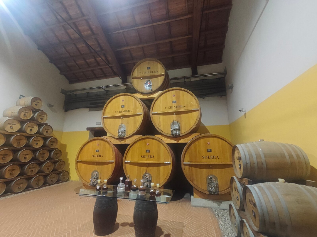 Cantine Pellegrino-马尔萨拉必去景点