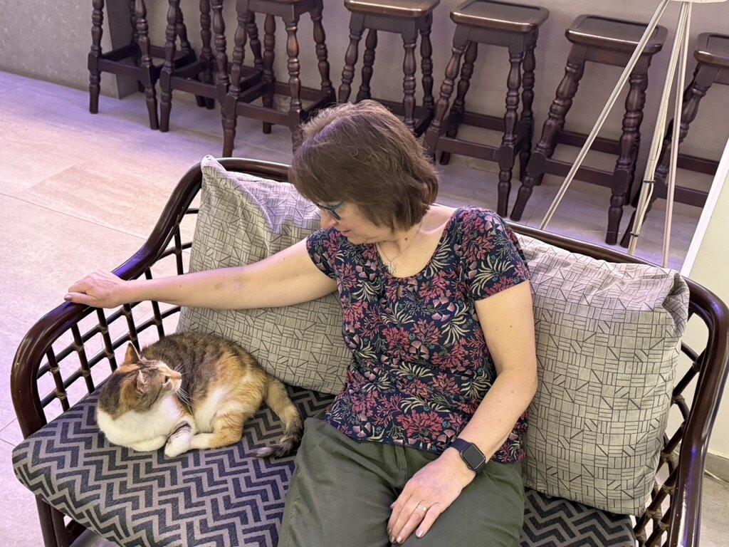 阿福罗狄蒂海滩酒店主图