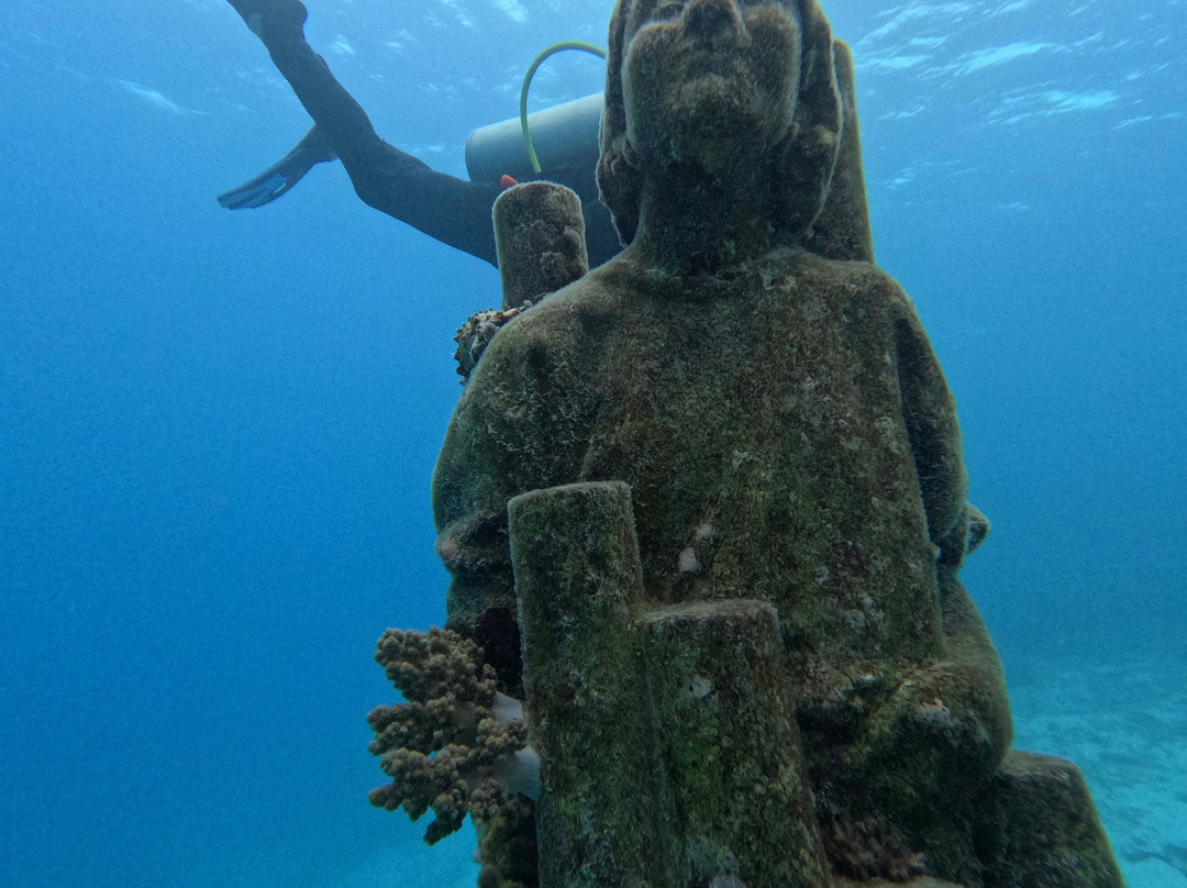 Museum of Underwater Art-North Ward必去景点