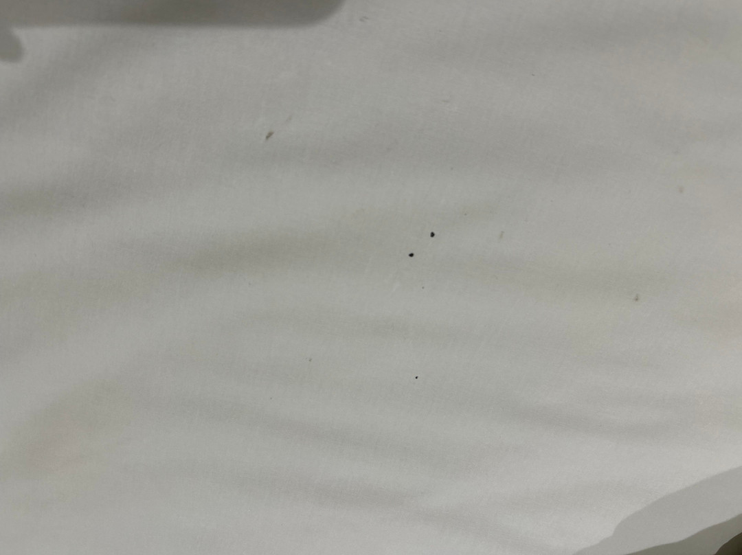 Cullinan Hplus Premium主图