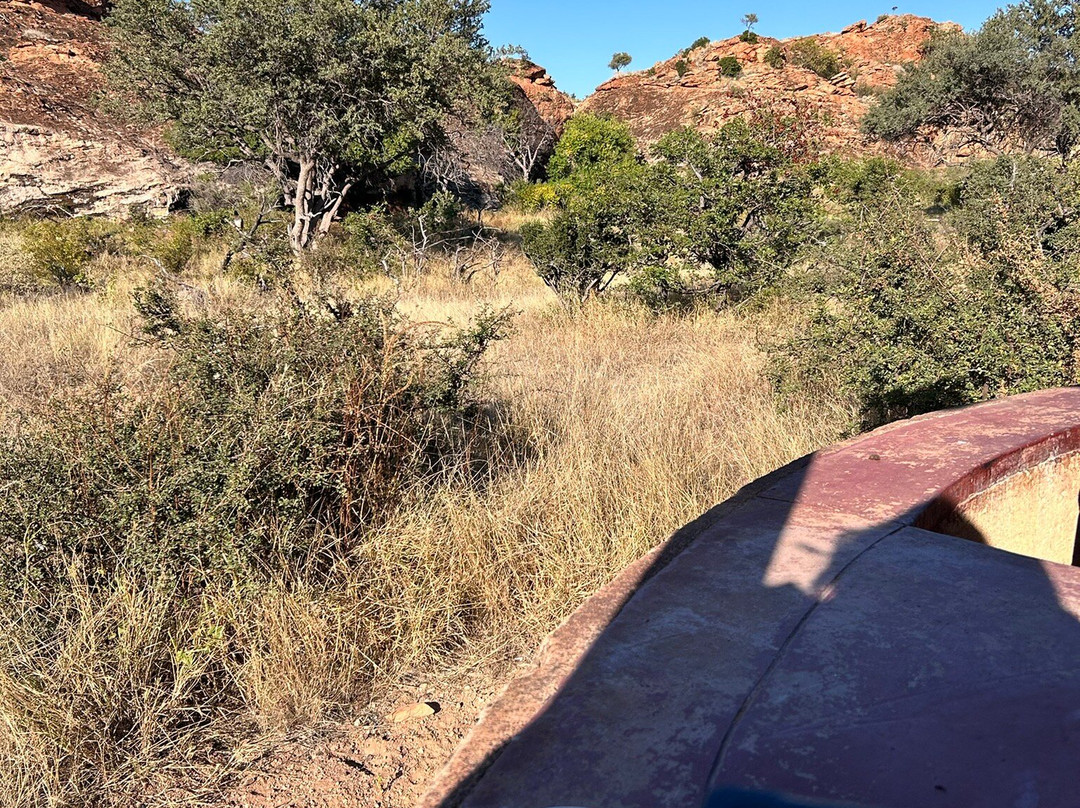 马蓬古布韦文化景观-Mapungubwe National Park必去景点