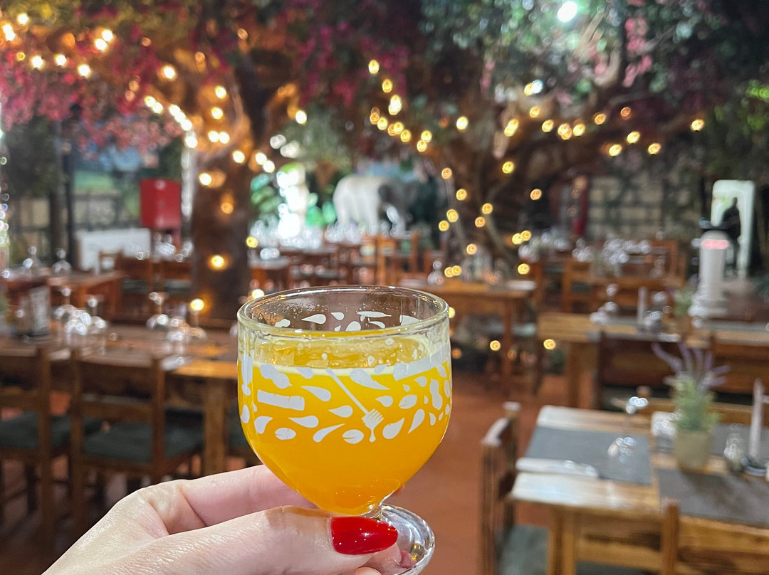 Dragon Tree Travel-沙尔必去景点