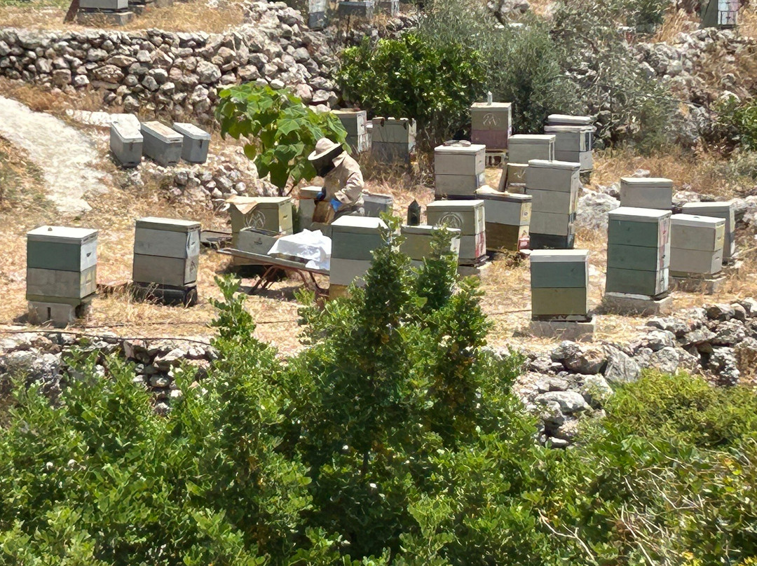 Outdoor Kefalonia-阿尔戈斯托利翁必去景点