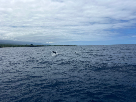 Alii Ocean Tours-凯鲁瓦-柯纳必去景点