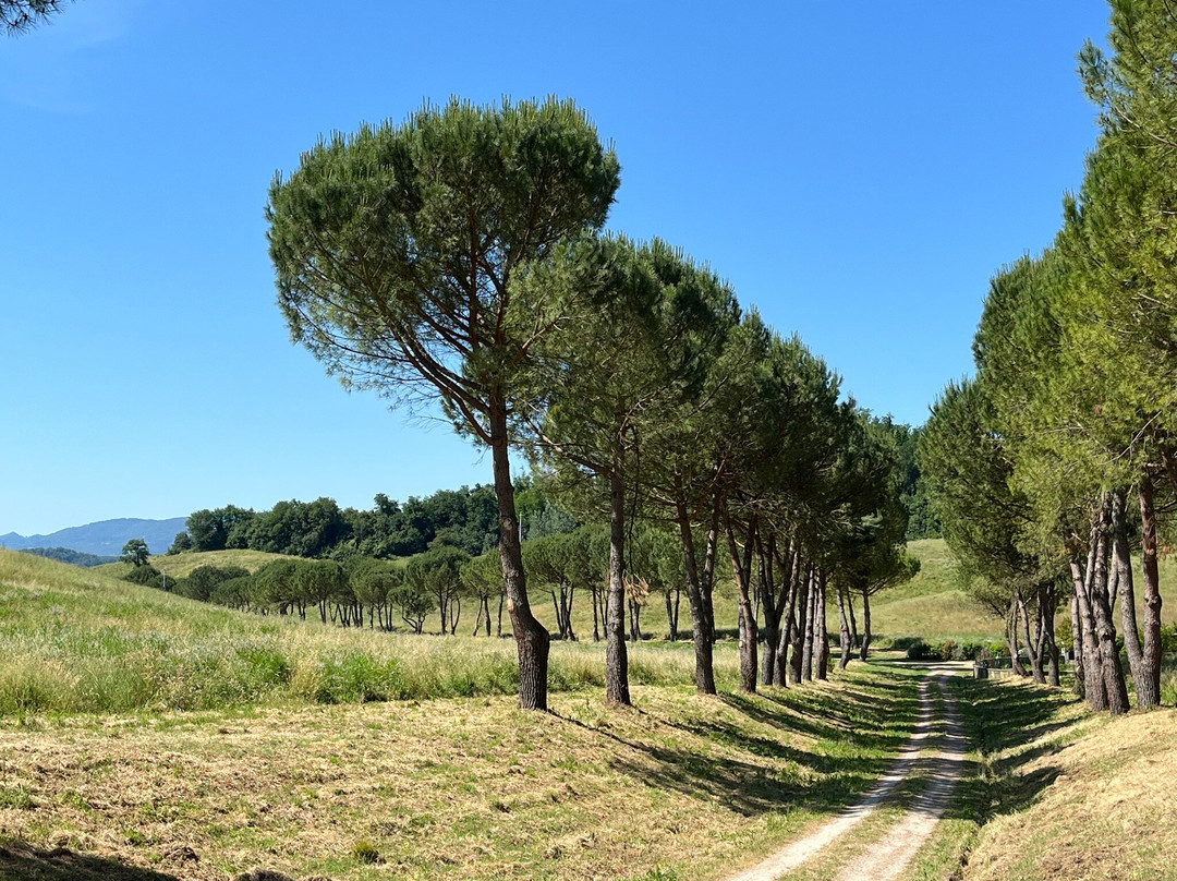 Viesca Suites & Villas - Il Borro Toscana主图