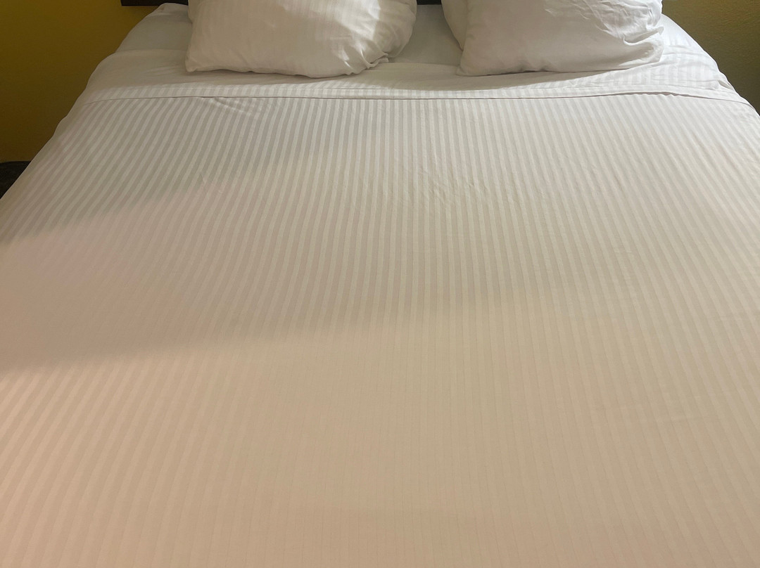 Best Western West Monroe Inn主图