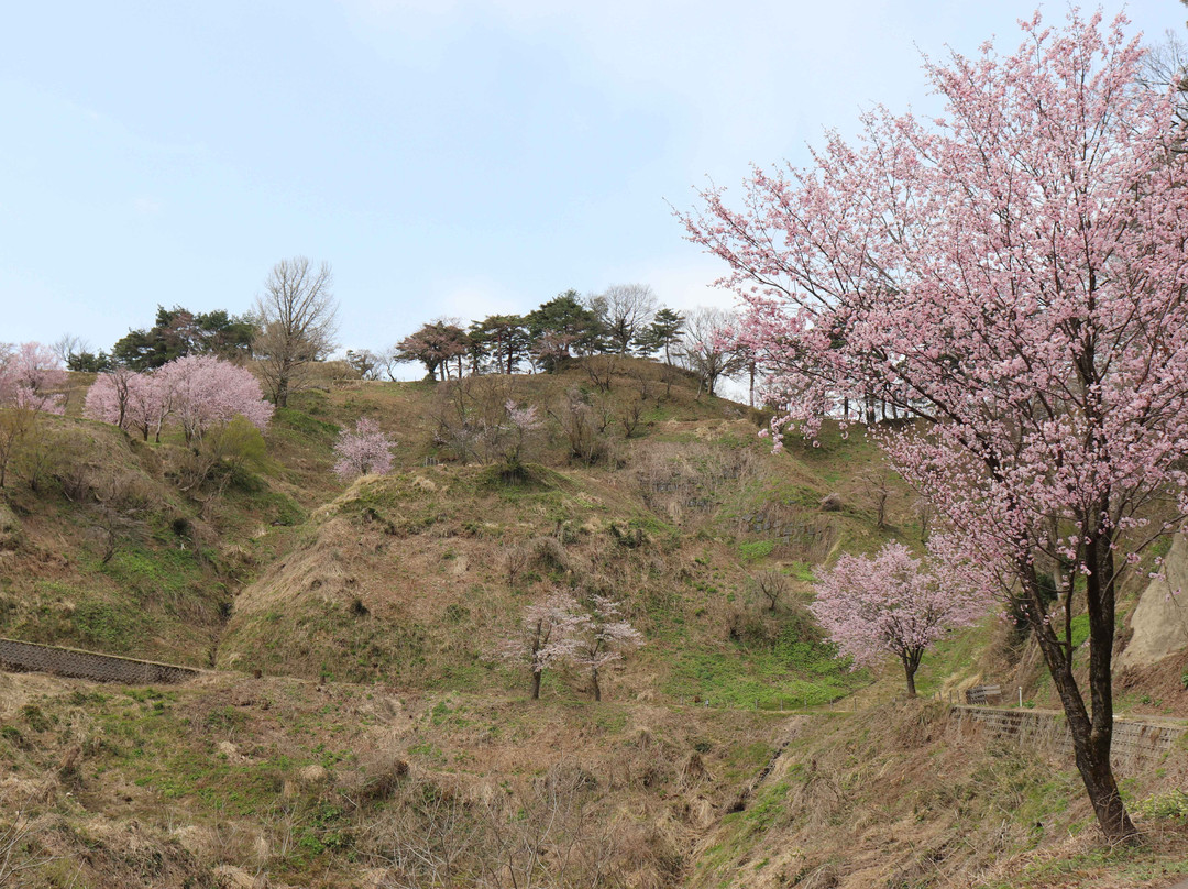Kasugayama Castle Ruins-上越市必去景点