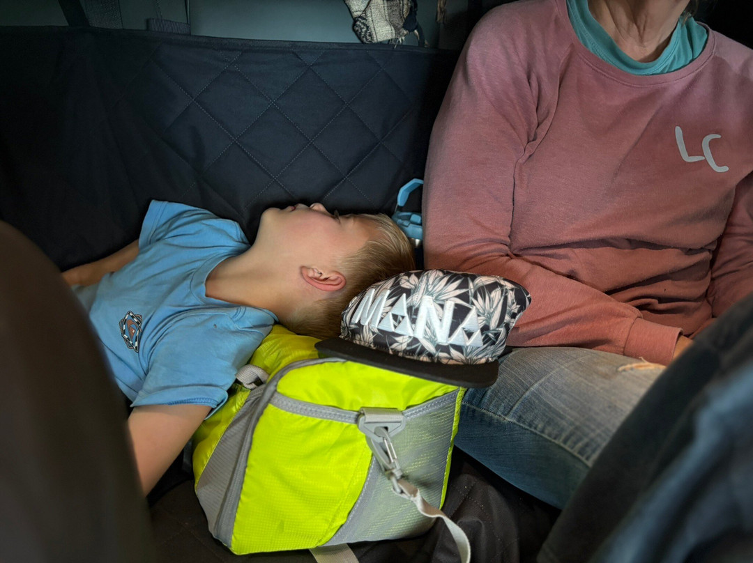 True Hawaiian-阿那荷拉必去景点