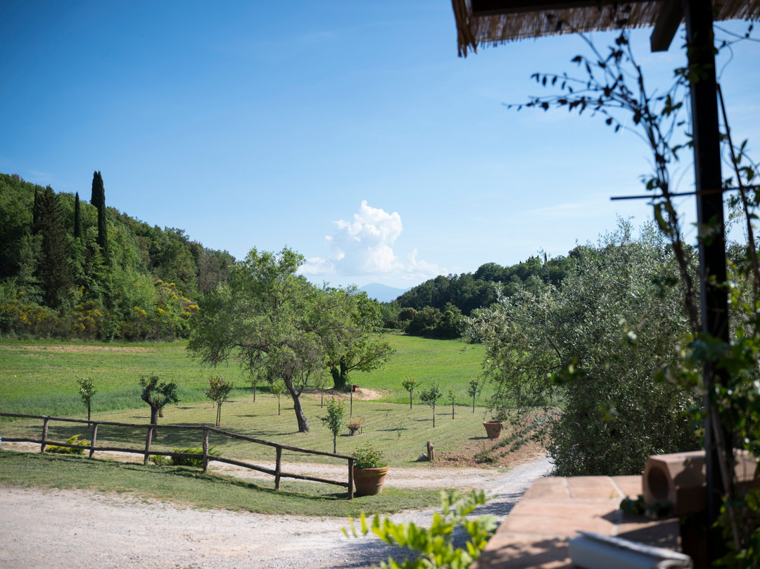 波德雷拉保利纳 - 餐厅与魅力住宅主图