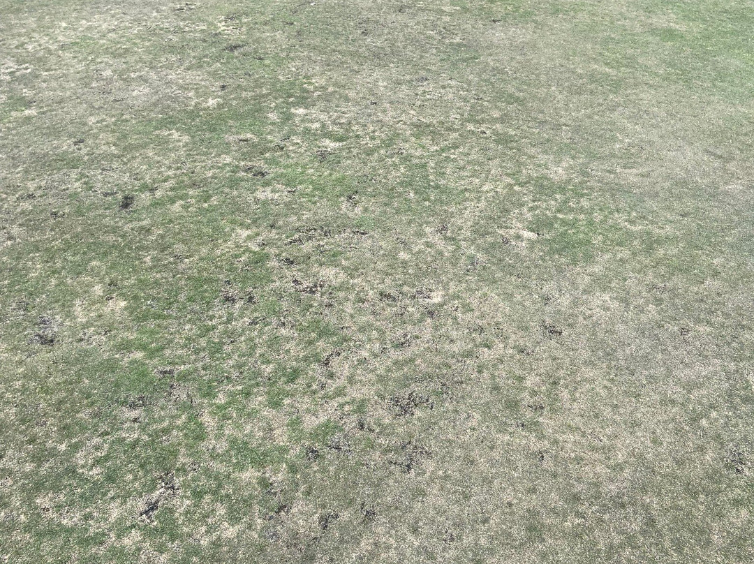 Matfen Hall Golf-Kirkharle必去景点