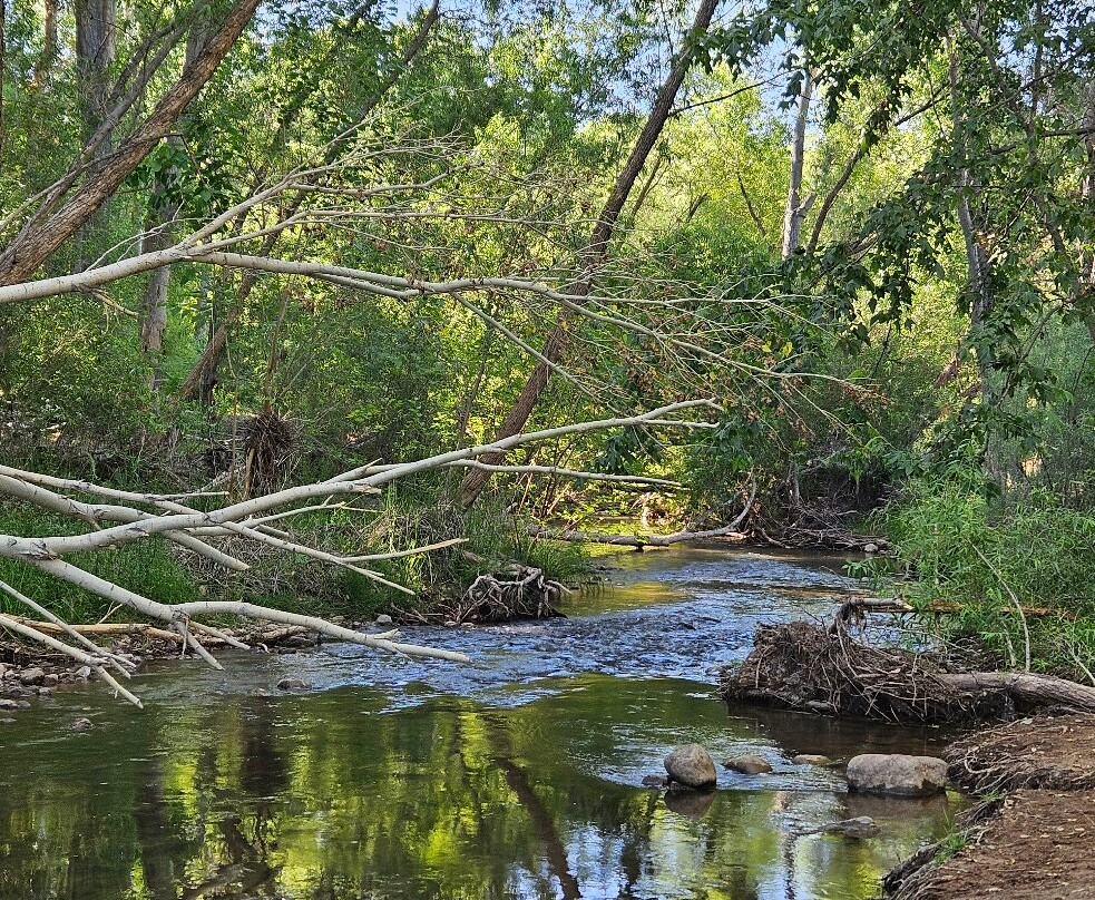 Old Town Jail Trail-Cottonwood必去景点