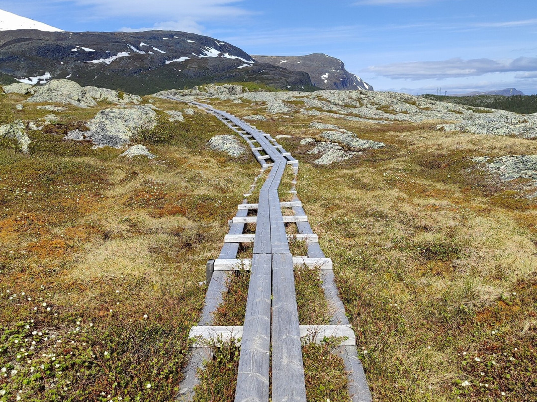 Stora Sjöfallet Nationalpark-Jokkmokk必去景点