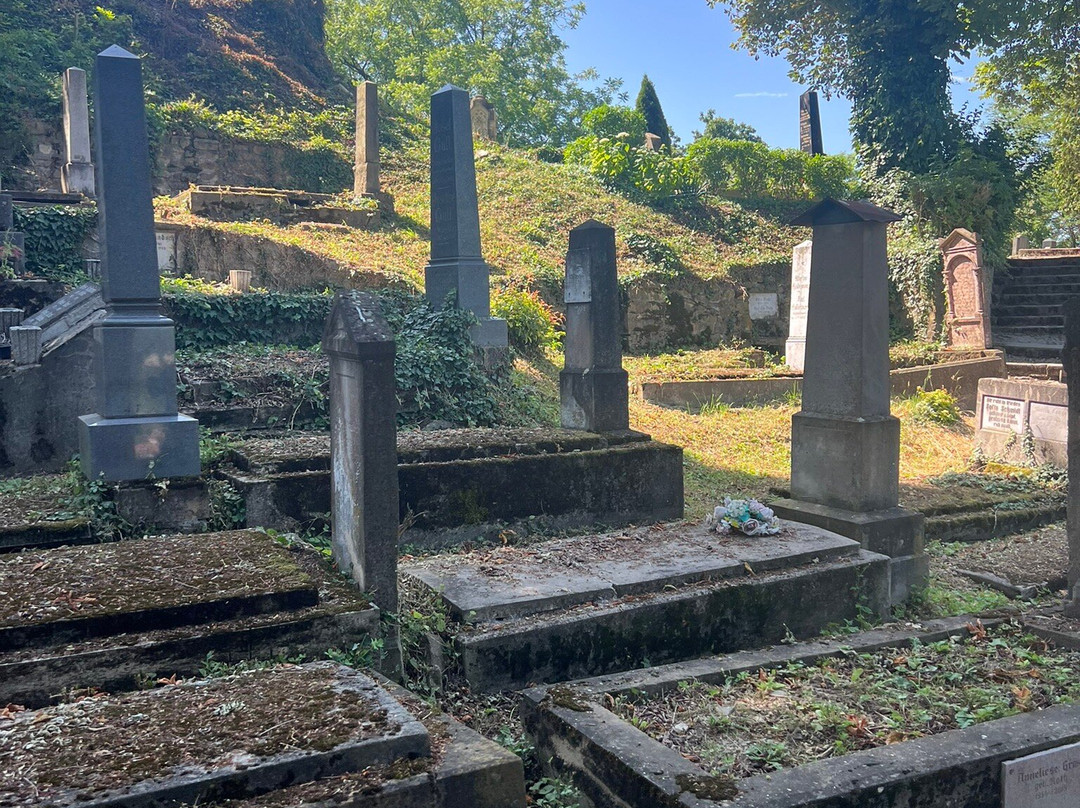 Your Guide In Transylvania - Premium Private Tours-锡吉索拉必去景点