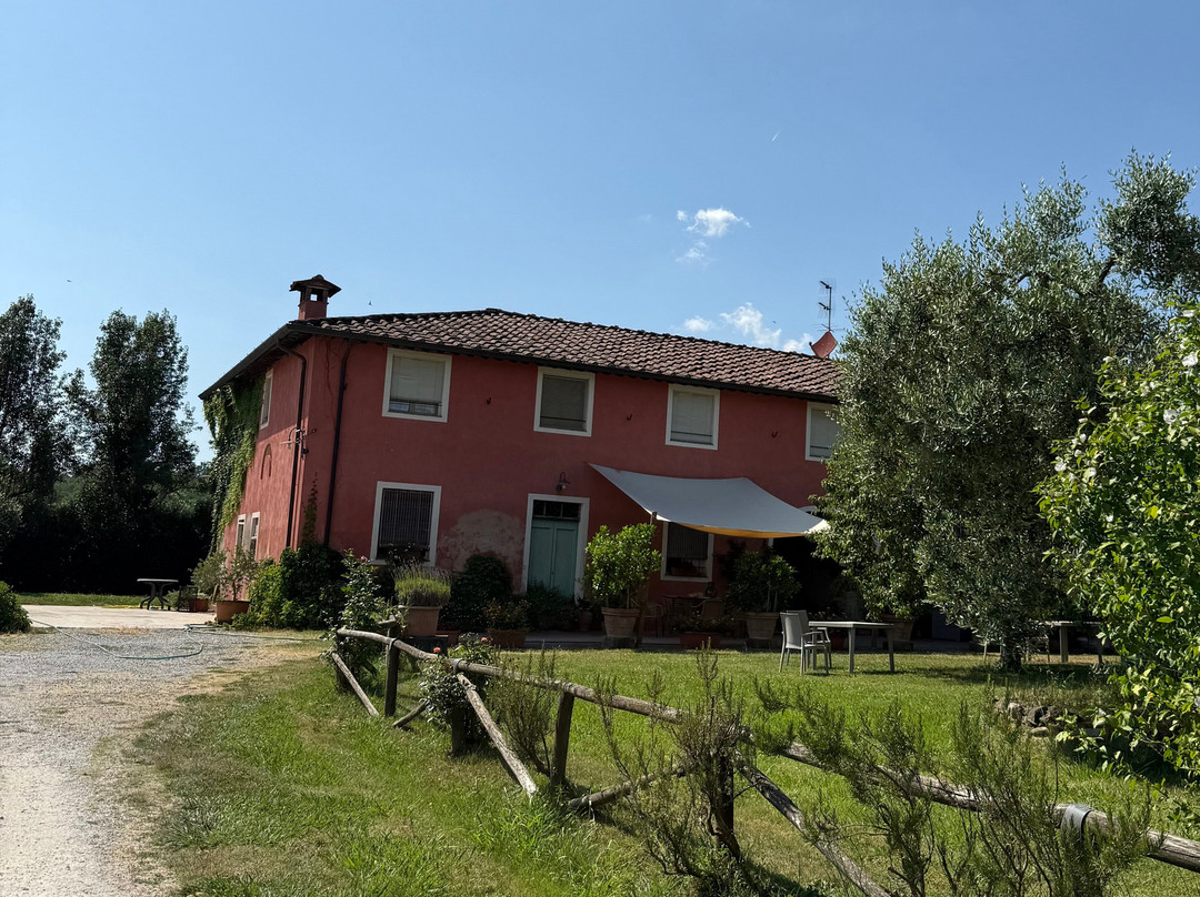 Al Podere di Rosa主图