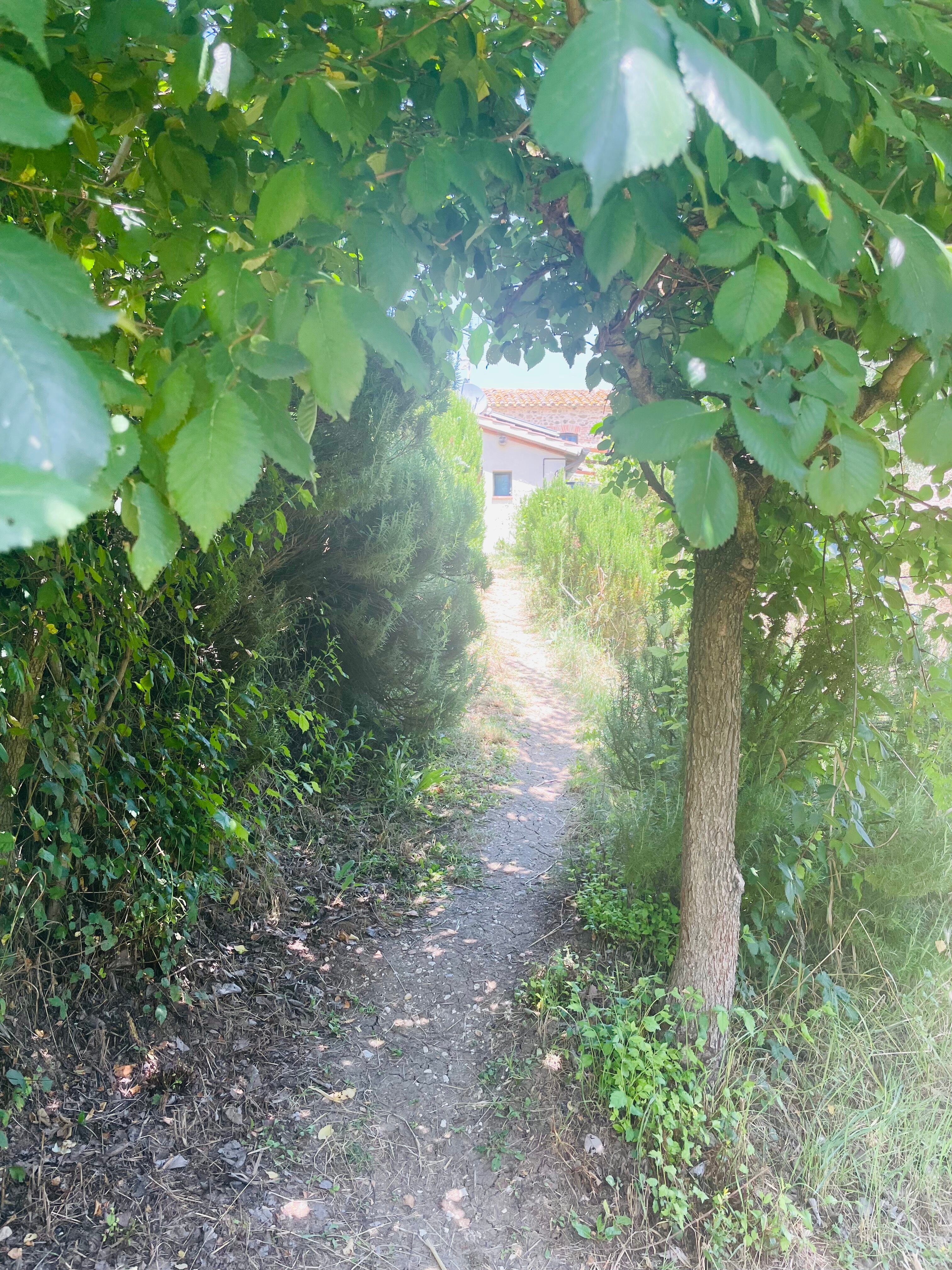 La Fattoria-官方