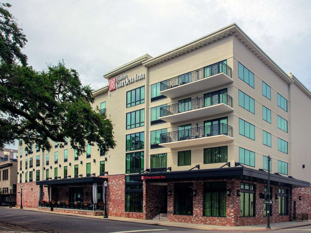 阿拉巴马酒店住宿-Hilton Garden Inn Mobile Downtown