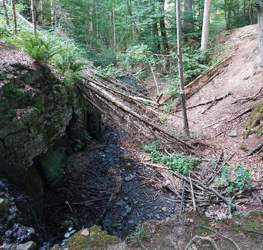 Patensteig mit Wasserfäellen-Extertal必去景点