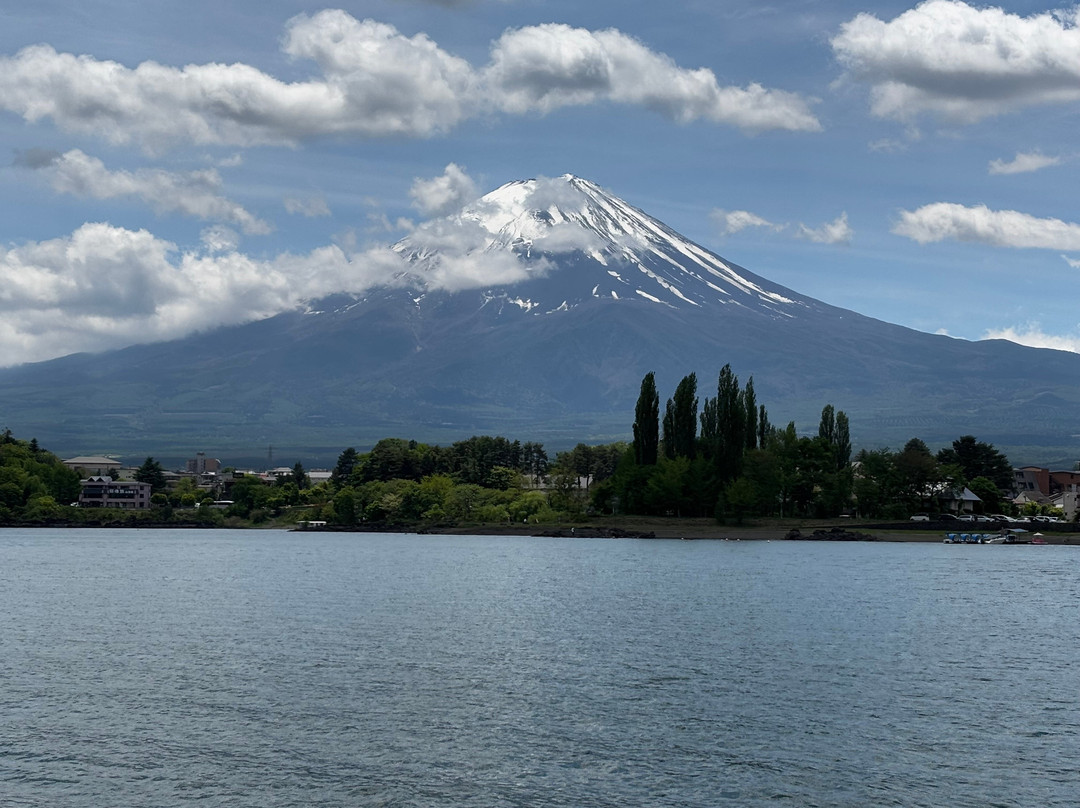 Stunning Tours-西安市必去景点