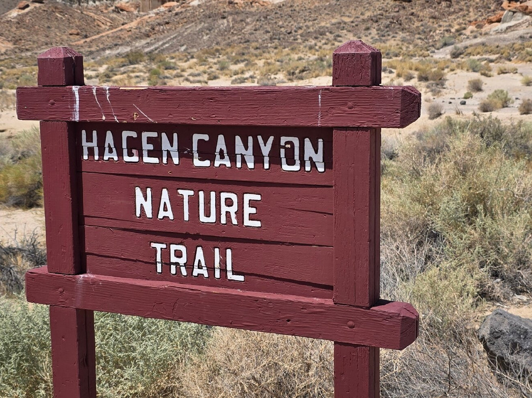 Red Rock Canyon State Park-Cantil必去景点