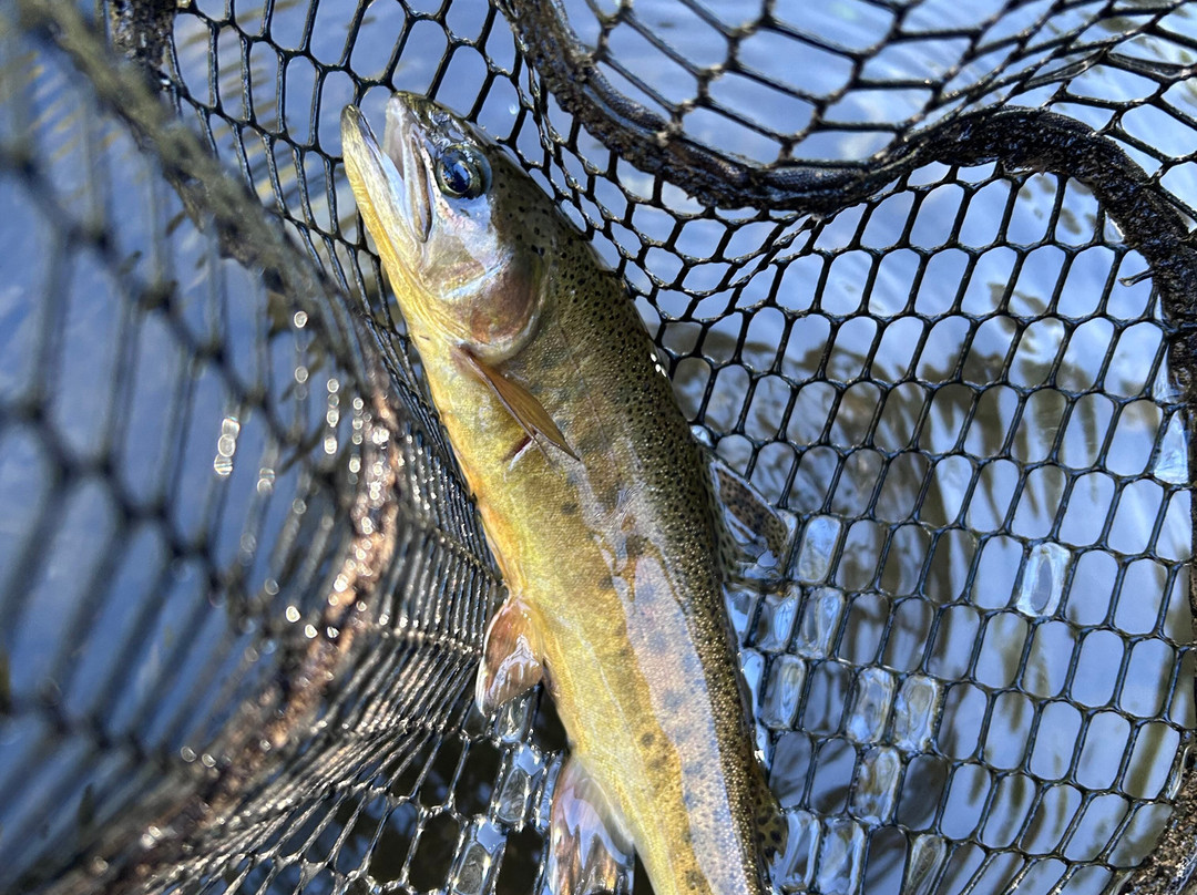 Sedona Fly Fishing Adventures-塞多纳必去景点
