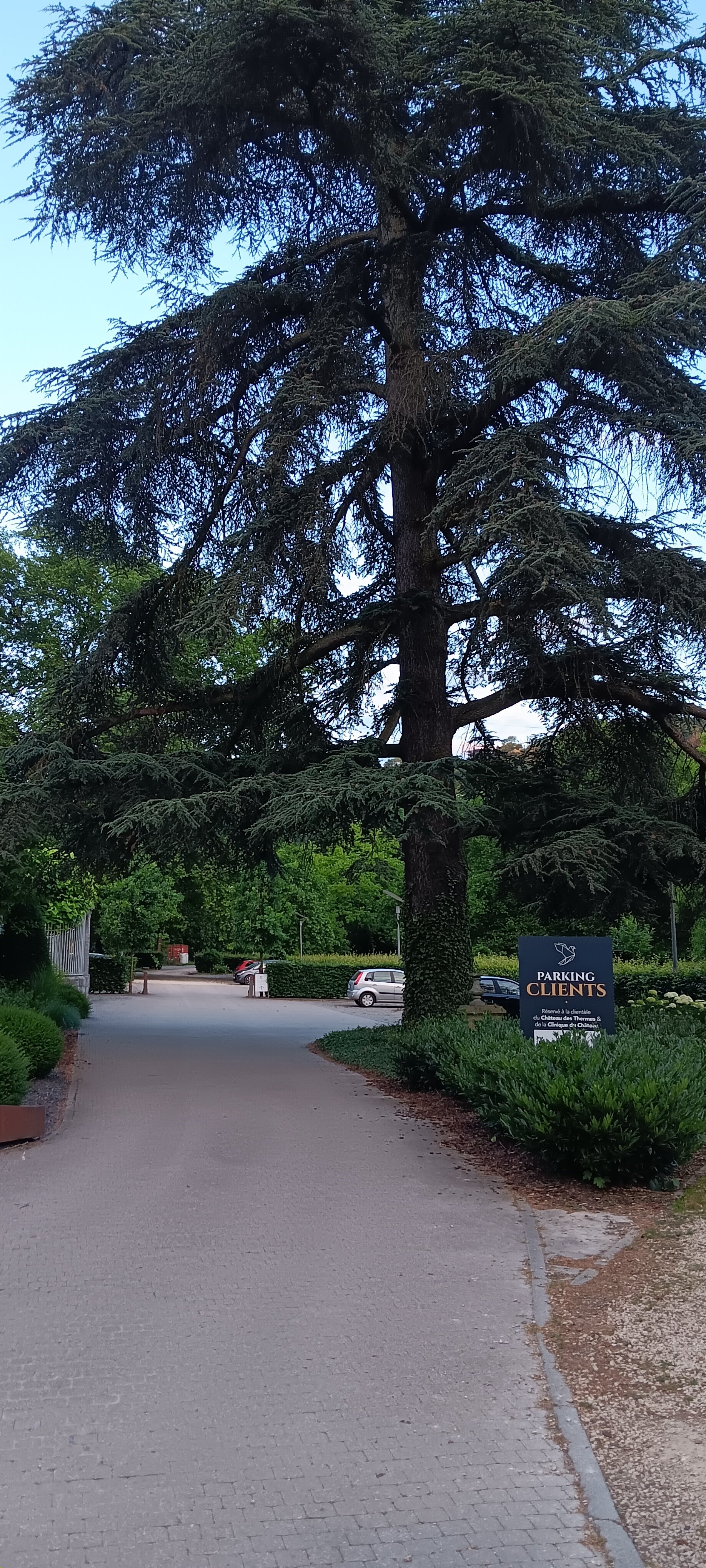 Chateau Des Thermes-浴室