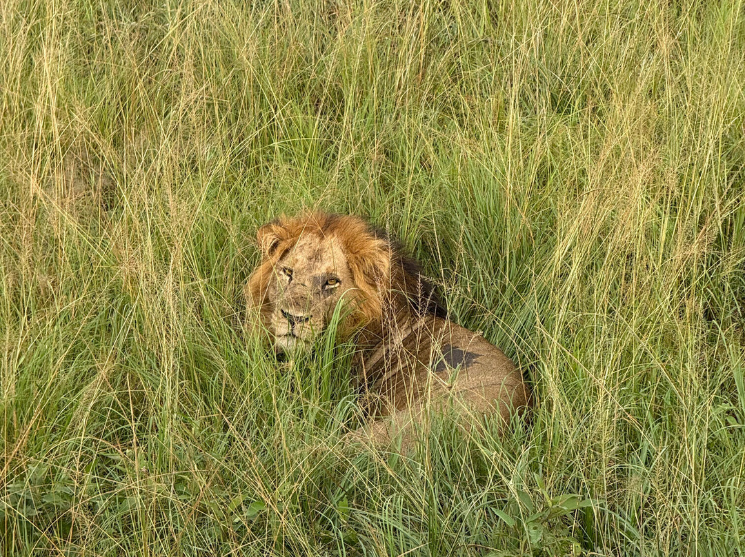 Insight Safari Holidays-Kanungu必去景点