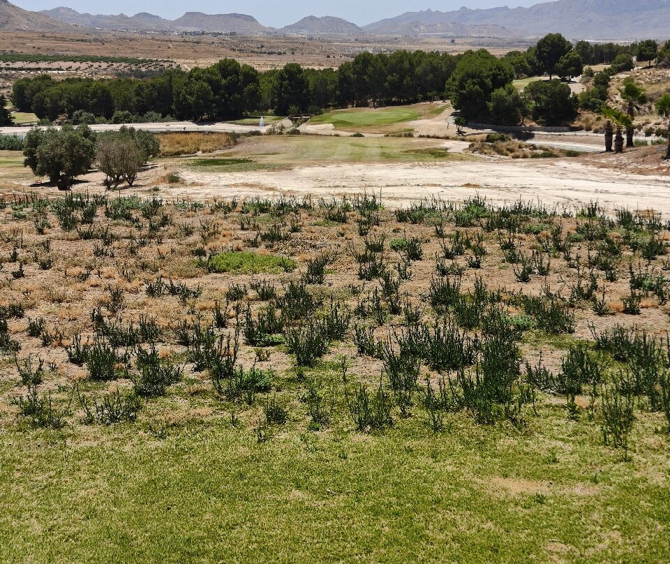 Camposol Club De Golf-Camposol必去景点