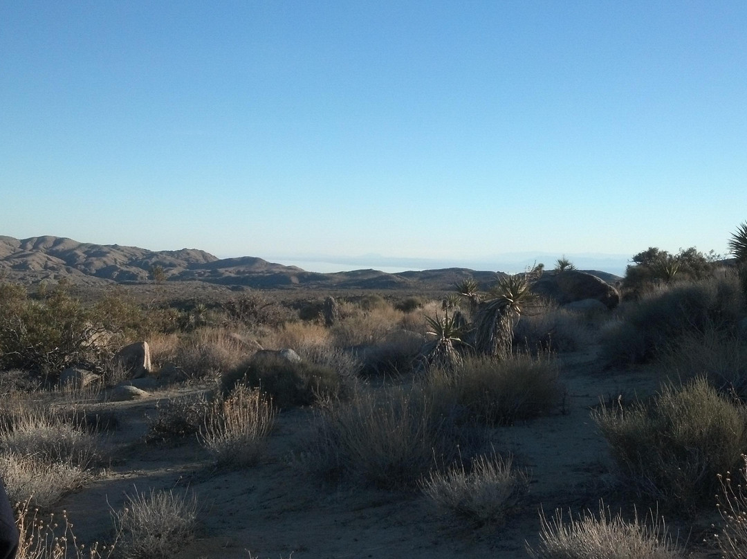 Adventure Hummer Tours and Events-棕榈沙漠必去景点