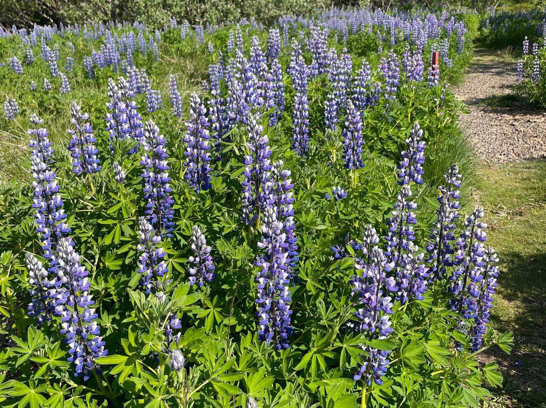 Dráphlíðarfjall-Stykkisholmur必去景点