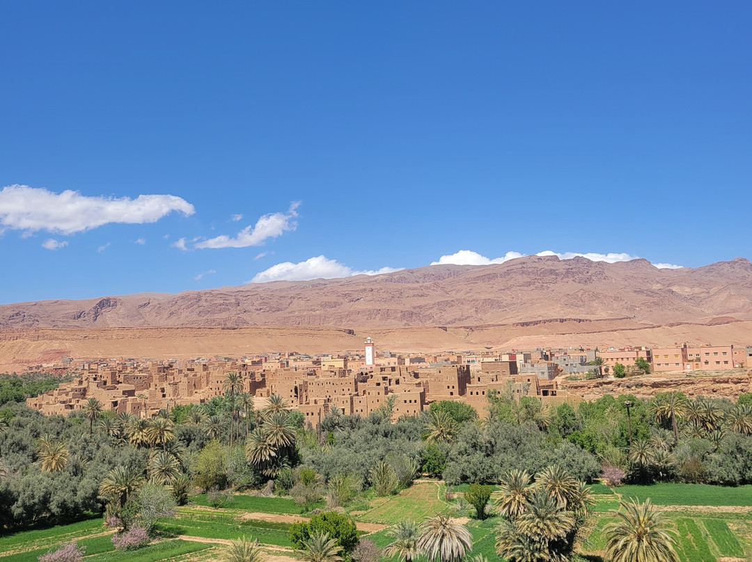 Morocco Easy Tours - Morocco Tours-马拉喀什必去景点