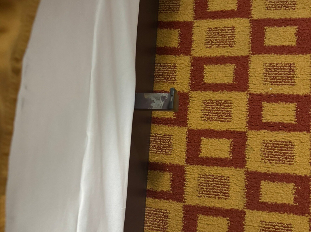 La Quinta Inn & Suites by Wyndham Alice主图